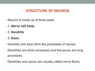 STRUCTURE OF NEURON
• Neuron is made up of three parts:
• 1. Nerve cell body
• 2. Dendrite
• 3. Axon.
• Dendrite and axon form the processes of neuron.
• Dendrites are short processes and the axons are long
processes.
• Dendrites and axons are usually called nerve fibers.
 