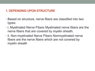 1. DEPENDING UPON STRUCTURE
• Based on structure, nerve fibers are classified into two
types:
• i. Myelinated Nerve Fibers Myelinated nerve fibers are the
nerve fibers that are covered by myelin sheath.
• ii. Non-myelinated Nerve Fibers Nonmyelinated nerve
fibers are the nerve fibers which are not covered by
myelin sheath
 