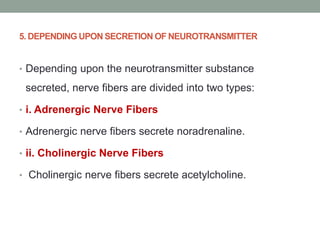 5. DEPENDING UPON SECRETION OF NEUROTRANSMITTER
• Depending upon the neurotransmitter substance
secreted, nerve fibers are divided into two types:
• i. Adrenergic Nerve Fibers
• Adrenergic nerve fibers secrete noradrenaline.
• ii. Cholinergic Nerve Fibers
• Cholinergic nerve fibers secrete acetylcholine.
 
