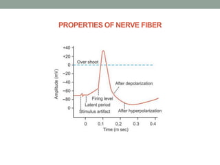 PROPERTIES OF NERVE FIBER
 