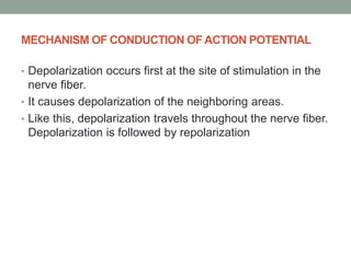 MECHANISM OF CONDUCTION OFACTION POTENTIAL
• Depolarization occurs first at the site of stimulation in the
nerve fiber.
• It causes depolarization of the neighboring areas.
• Like this, depolarization travels throughout the nerve fiber.
Depolarization is followed by repolarization
 