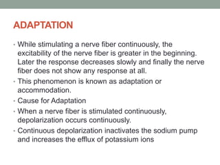 ADAPTATION
• While stimulating a nerve fiber continuously, the
excitability of the nerve fiber is greater in the beginning.
Later the response decreases slowly and finally the nerve
fiber does not show any response at all.
• This phenomenon is known as adaptation or
accommodation.
• Cause for Adaptation
• When a nerve fiber is stimulated continuously,
depolarization occurs continuously.
• Continuous depolarization inactivates the sodium pump
and increases the efflux of potassium ions
 