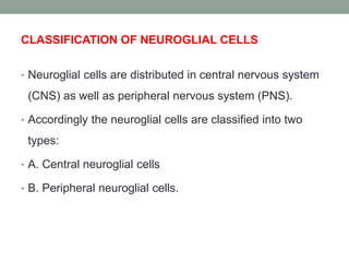 CLASSIFICATION OF NEUROGLIAL CELLS
• Neuroglial cells are distributed in central nervous system
(CNS) as well as peripheral nervous system (PNS).
• Accordingly the neuroglial cells are classified into two
types:
• A. Central neuroglial cells
• B. Peripheral neuroglial cells.
 