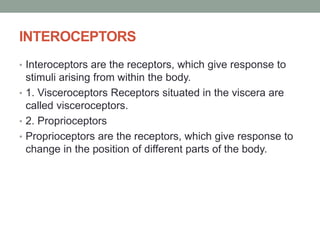 INTEROCEPTORS
• Interoceptors are the receptors, which give response to
stimuli arising from within the body.
• 1. Visceroceptors Receptors situated in the viscera are
called visceroceptors.
• 2. Proprioceptors
• Proprioceptors are the receptors, which give response to
change in the position of different parts of the body.
 