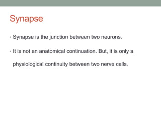 Synapse
• Synapse is the junction between two neurons.
• It is not an anatomical continuation. But, it is only a
physiological continuity between two nerve cells.
 