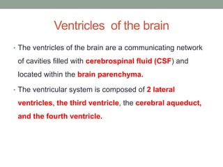 Ventricles of the brain
• The ventricles of the brain are a communicating network
of cavities filled with cerebrospinal fluid (CSF) and
located within the brain parenchyma.
• The ventricular system is composed of 2 lateral
ventricles, the third ventricle, the cerebral aqueduct,
and the fourth ventricle.
 