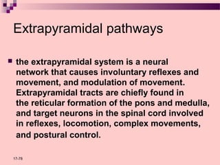 Nervous system terminal brain | PPT
