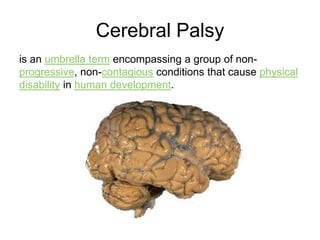 Causes:		Many of the bacteria and viruses that cause meningitis are fairly common and are typically associated with other routine illnesses. Bacteria and viruses that infect the skin, urinary system, gastrointestinal or respiratory tract can spread by the bloodstream to the meninges through cerebrospinal fluid, the fluid that circulates in and around the spinal cord.