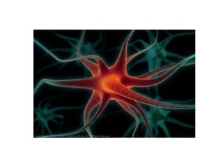 Scissor walking (where the knees come in and cross) and toe walking are common among people with CP who are able to walk, but taken on the whole, CP symptomatology is very diverse. 