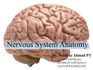 Nervous System Anatomy
Dr. Shahbaz Ahmad PT
DPT [UIPT][UOL]
MS-MSK-PT [UIPT][UOL]*
LECTURER [LIHS][LCPS]
 