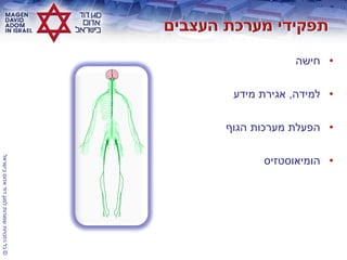 ©‫בישראל‬‫אדום‬‫דוד‬‫למגן‬‫שמורות‬‫הזכויות‬‫כל‬
•‫חישה‬
•‫למידה‬,‫מידע‬ ‫אגירת‬
•‫הגוף‬ ‫מערכות‬ ‫הפעלת‬
•‫הומיאוסטזיס‬
 