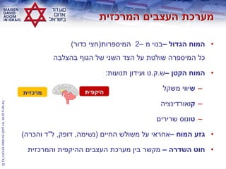 ©‫בישראל‬‫אדום‬‫דוד‬‫למגן‬‫שמורות‬‫הזכויות‬‫כל‬
•‫הגדול‬ ‫המוח‬–‫מ‬ ‫בנוי‬–2‫המיספרות‬(‫כדור‬ ‫חצי‬)
‫בהצלבה‬ ‫הגוף‬ ‫של‬ ‫השני‬ ‫הצד‬ ‫על‬ ‫שולטת‬ ‫המיספרה‬ ‫כל‬
•‫הקטן‬ ‫המוח‬–‫ש‬.‫ק‬.‫תנועות‬ ‫ועידון‬ ‫ט‬:
–‫ש‬‫משקל‬ ‫יווי‬
–‫ק‬‫ואורדינציה‬
–‫ט‬‫שרירים‬ ‫ונוס‬
•‫המוח‬ ‫גזע‬–‫החיים‬ ‫משולש‬ ‫על‬ ‫אחראי‬(‫נשימה‬,‫דופק‬,‫ל‬"‫והכרה‬ ‫ד‬)
•‫השדרה‬ ‫חוט‬–‫והמרכזית‬ ‫ההיקפית‬ ‫העצבים‬ ‫מערכת‬ ‫בין‬ ‫מקשר‬
‫היקפית‬‫מרכזית‬
 