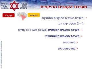 ©‫בישראל‬‫אדום‬‫דוד‬‫למגן‬‫שמורות‬‫הזכויות‬‫כל‬
•‫מתחלקת‬ ‫ההיקפית‬ ‫העצבים‬ ‫מערכת‬
‫ל‬–2‫עיקריים‬ ‫חלקים‬:
–‫הסומטית‬ ‫העצבים‬ ‫מערכת‬(‫הרצונית‬ ‫עצבים‬ ‫מערכת‬)
–‫האוטונומית‬ ‫העצבים‬ ‫מערכת‬
•‫סימפטטית‬
•‫פארסימפטטית‬
‫היקפית‬‫מרכזית‬
 