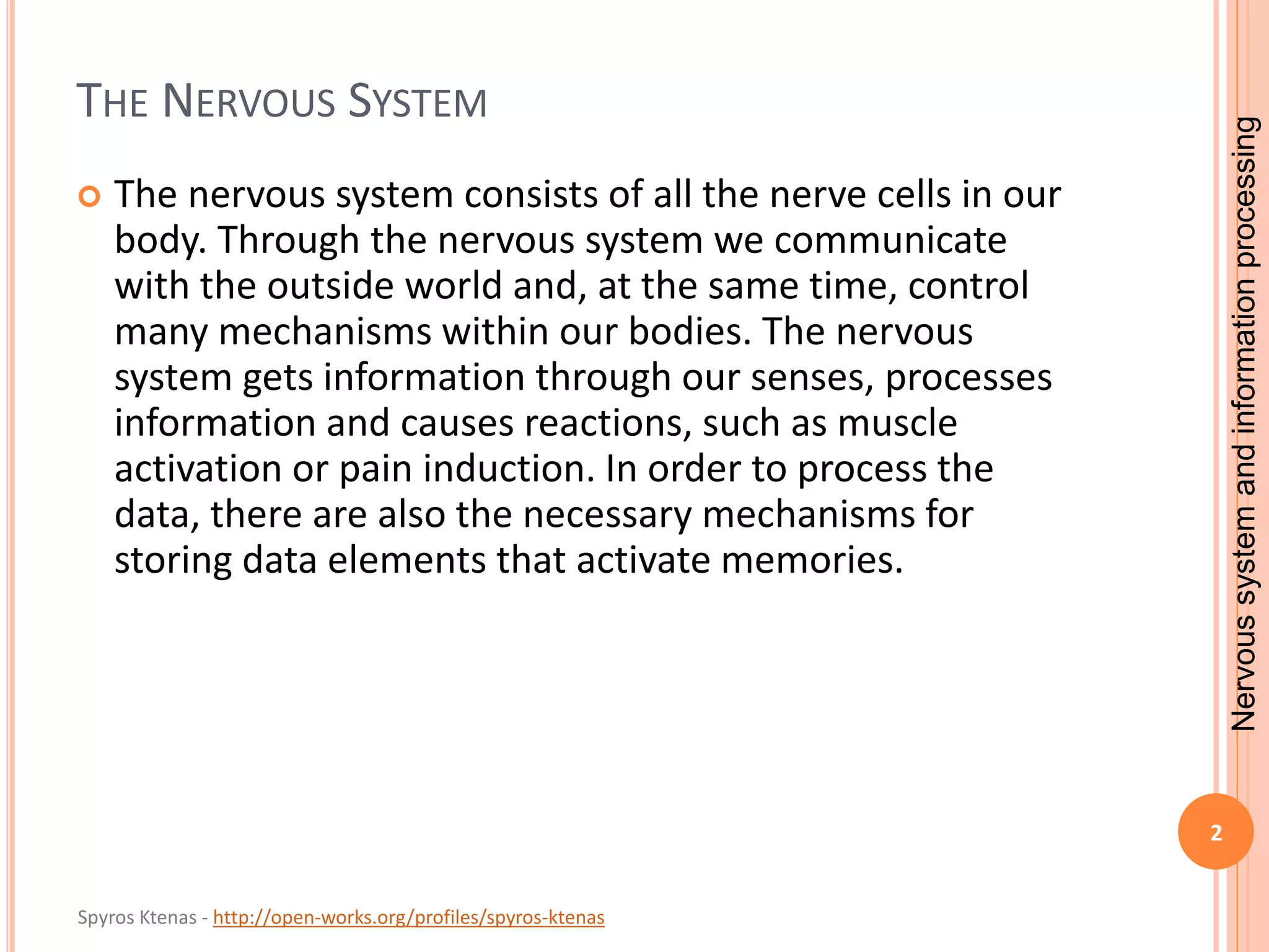 Nervous system and information processing | PPTX