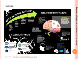 Nervous system and information processing | PPTX
