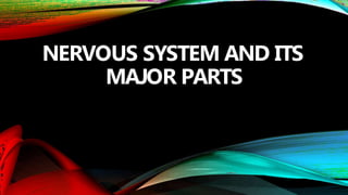 NERVOUS SYSTEM AND ITS
MAJOR PARTS
 