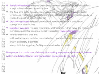  Acetylcholinesterase-enzyme that rapidly destroys acetylcholine, which converts
  acetylcholine into acetate and choline.
 The final step in the sequence is reabsorption of choline into the presynaptic
  terminal, resynthesis of acetylcholine and its storage in synaptic vesicles, ready to
  respond to another action potential.
 Excitatory synapses-releases chemical neurotransmitters that depolarize
  postsynaptic membranes .
 Inhibitory synapses-releases chemical neurotransmitters that move the resting
  membrane potential in a more negative direction (hyperpolarization).
 Neurotransmitters that are :
  both excitatory and inhibitory-acetylcholine, norepinephrine, dopamine, serotonin
  always excitatory-glutamate
  always inhibitory-glycine, GABA(gamma amino butyric acid)

The synapse is a crucial part of the decision making equipment of the central nervous
system, modulating flow of information from one neuron to the next.
 