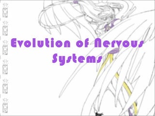 Evolution of Nervous
      Systems
 