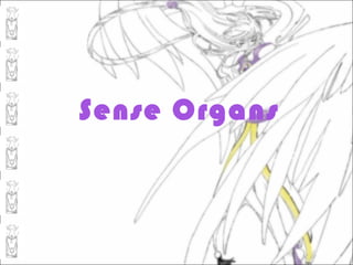 Sense Organs
 