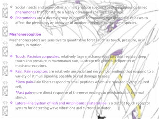  Social insects and many other animals produce species-specific compounds called
  pheromones that constitute a highly developed chemical language.
 Pheromones are a diverse group of organic compounds that an animal releases to
  affect the physiology or behavior of another individual of the same species.

Mechanoreception
Mechanoreceptors are sensitive to quantitative forces such as touch, pressure, or in
  short, in motion.

 Touch: Pacinian corpuscles, relatively large mechanoreceptors that register deep
  touch and pressure in mammalian skin, illustrate the general properties of
  mechanoreceptors.
 Pain: Pain receptors are relatively unspecialized nerve fiber endings that respond to a
  variety of stimuli signaling possible or real damage tissues.
  *Slow pain-Pain fibers respond to small peptides which are released by the injured
  cell.
  *Fast pain-more direct response of the nerve endings to mechanical or thermal
  stimuli.
 Lateral-line System of Fish and Amphibians: a lateral line is a distant touch receptor
  system for detecting wave vibrations and currents in water.
 
