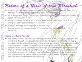 Nature of a Nerve Action Potential
 A nerve signal or action potential is an electrochemical message of neurons, the
  common functional denominator of all nervous system activity.
 An action potential is an “all-or-none” phenomenon; either the fiber is conducting an
  action potential, or it is not.
 Action potentials are alike, the only way a nerve fiber can vary its signal is by
  changing the frequency of signal conduction.
 Frequency change is the language of a nerve fiber.
 The higher the frequency (or rate) of conduction, the greater is the level of
  excitation.

Resting Membrane Potential
 The membrane of a neuron is selectively permeable to K+, which can transverse the
   membrane through special potassium channels. The permeability to Na+ is nearly
   zero because Na+ channels are closed in a resting membrane. Potassium ions tend to
   diffuse outward through the membrane, following the gradient of potassium
   concentration. Very quickly the positive charge outside reaches a level that prevents
   anymore K+ from diffusing out of the axon, and because large ions cannot pass
   through the membrane, positively charged potassium ions are drawn back into the
   cell. Now the resting membrane is at equilibrium, with an electrical gradient that
   exactly balances the concentration gradient.
 