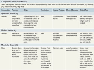 Nervous System Types of nervous system_ P.pdf