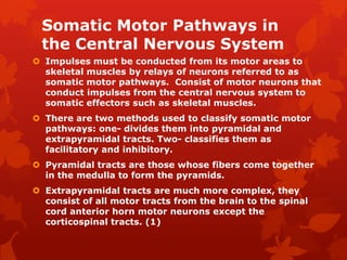 Somatic Motor Pathways in
 the Central Nervous System
 Impulses must be conducted from its motor areas to
  skeletal muscles by relays of neurons referred to as
  somatic motor pathways. Consist of motor neurons that
  conduct impulses from the central nervous system to
  somatic effectors such as skeletal muscles.
 There are two methods used to classify somatic motor
  pathways: one- divides them into pyramidal and
  extrapyramidal tracts. Two- classifies them as
  facilitatory and inhibitory.
 Pyramidal tracts are those whose fibers come together
  in the medulla to form the pyramids.
 Extrapyramidal tracts are much more complex, they
  consist of all motor tracts from the brain to the spinal
  cord anterior horn motor neurons except the
  corticospinal tracts. (1)
 