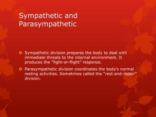 Sympathetic and
Parasympathetic



 Sympathetic division prepares the body to deal with
  immediate threats to the internal environment. It
  produces the “fight-or-flight” response.
 Parasympathetic division coordinates the body’s normal
  resting activities. Sometimes called the “rest-and-repair”
  division.
 