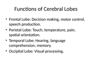 nervous_system_brain_types_ classifications | PPTX