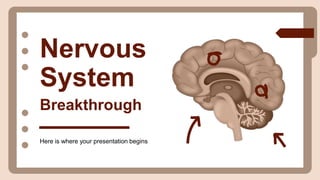 Nervous
System
Breakthrough
Here is where your presentation begins
 