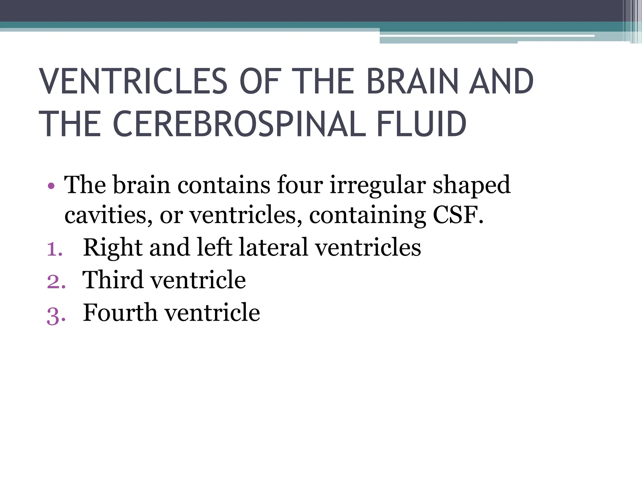 VENTRICLES OF THE BRAIN AND
THE CEREBROSPINAL FLUID
• The brain contains four irregular shaped
cavities, or ventricles, containing CSF.
1. Right and left lateral ventricles
2. Third ventricle
3. Fourth ventricle
 