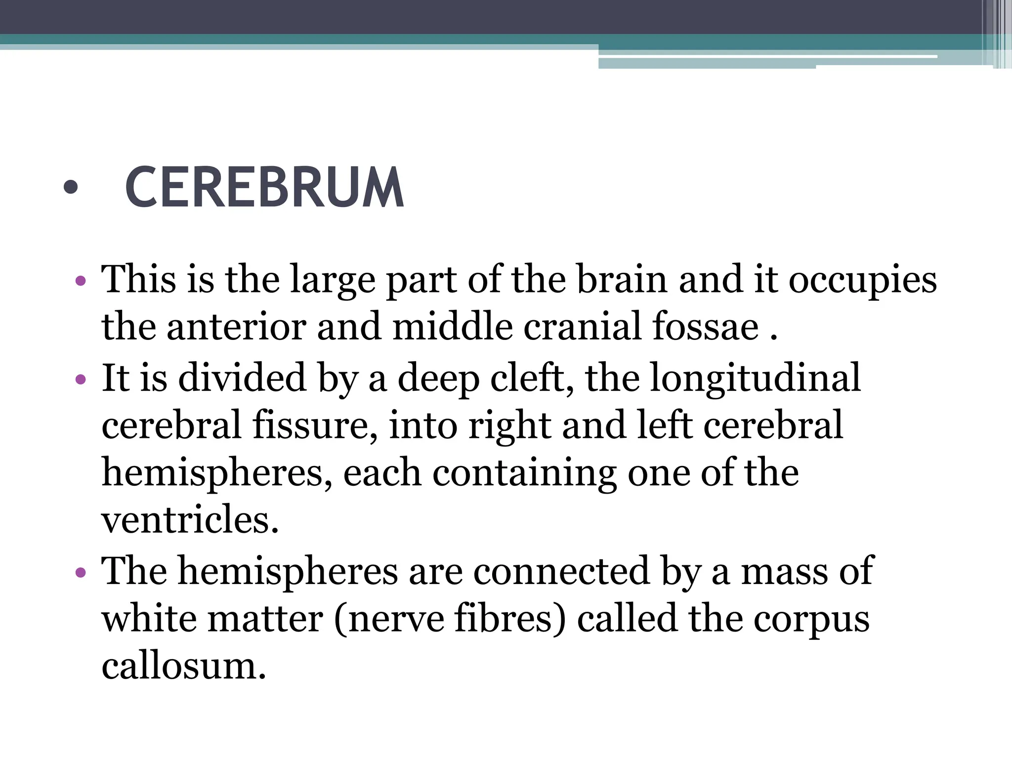 • CEREBRUM
• This is the large part of the brain and it occupies
the anterior and middle cranial fossae .
• It is divided by a deep cleft, the longitudinal
cerebral fissure, into right and left cerebral
hemispheres, each containing one of the
ventricles.
• The hemispheres are connected by a mass of
white matter (nerve fibres) called the corpus
callosum.
 