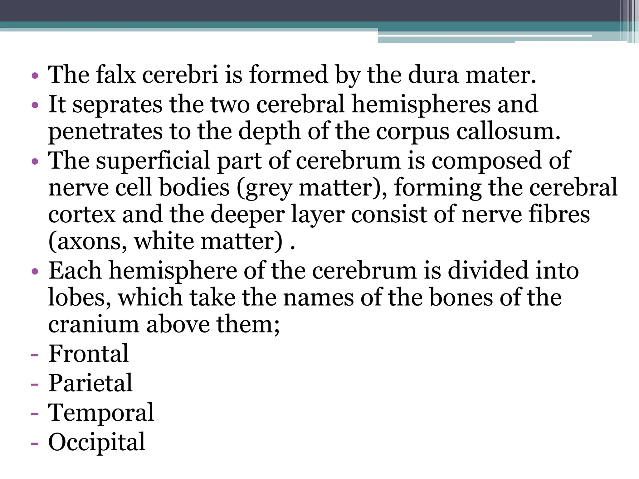 • The falx cerebri is formed by the dura mater.
• It seprates the two cerebral hemispheres and
penetrates to the depth of the corpus callosum.
• The superficial part of cerebrum is composed of
nerve cell bodies (grey matter), forming the cerebral
cortex and the deeper layer consist of nerve fibres
(axons, white matter) .
• Each hemisphere of the cerebrum is divided into
lobes, which take the names of the bones of the
cranium above them;
- Frontal
- Parietal
- Temporal
- Occipital
 