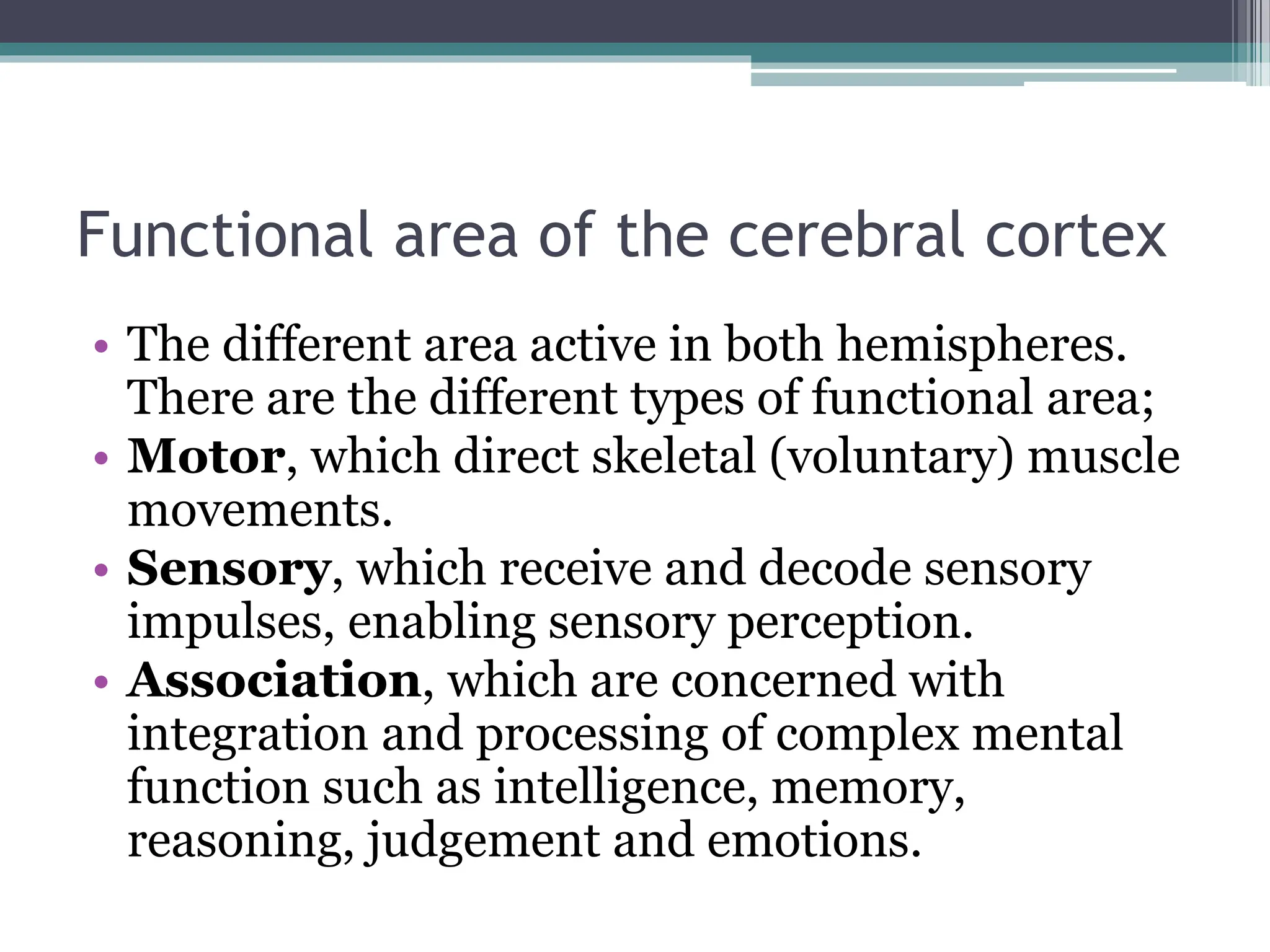 Functional area of the cerebral cortex
• The different area active in both hemispheres.
There are the different types of functional area;
• Motor, which direct skeletal (voluntary) muscle
movements.
• Sensory, which receive and decode sensory
impulses, enabling sensory perception.
• Association, which are concerned with
integration and processing of complex mental
function such as intelligence, memory,
reasoning, judgement and emotions.
 