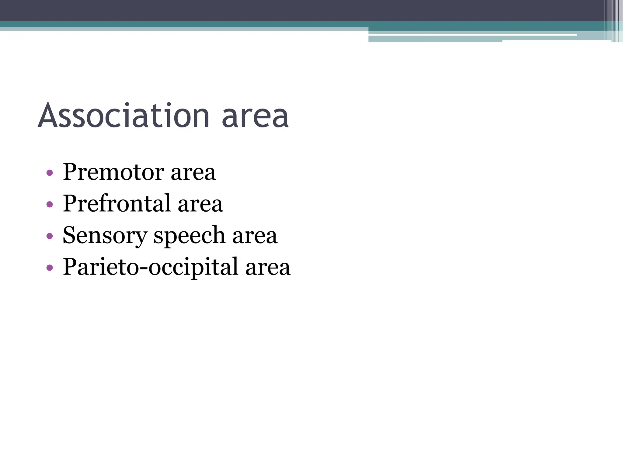 Association area
• Premotor area
• Prefrontal area
• Sensory speech area
• Parieto-occipital area
 