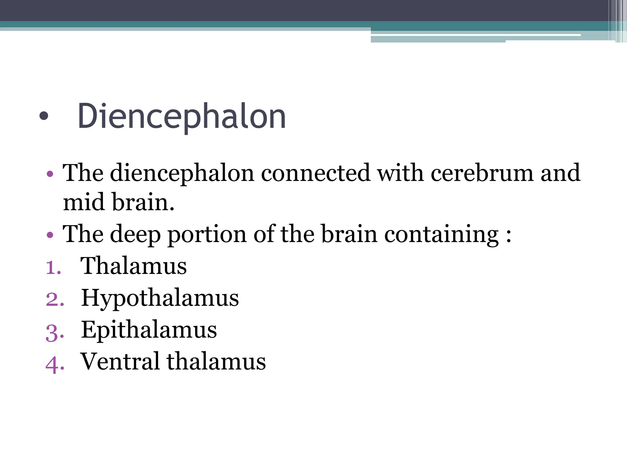 • Diencephalon
• The diencephalon connected with cerebrum and
mid brain.
• The deep portion of the brain containing :
1. Thalamus
2. Hypothalamus
3. Epithalamus
4. Ventral thalamus
 