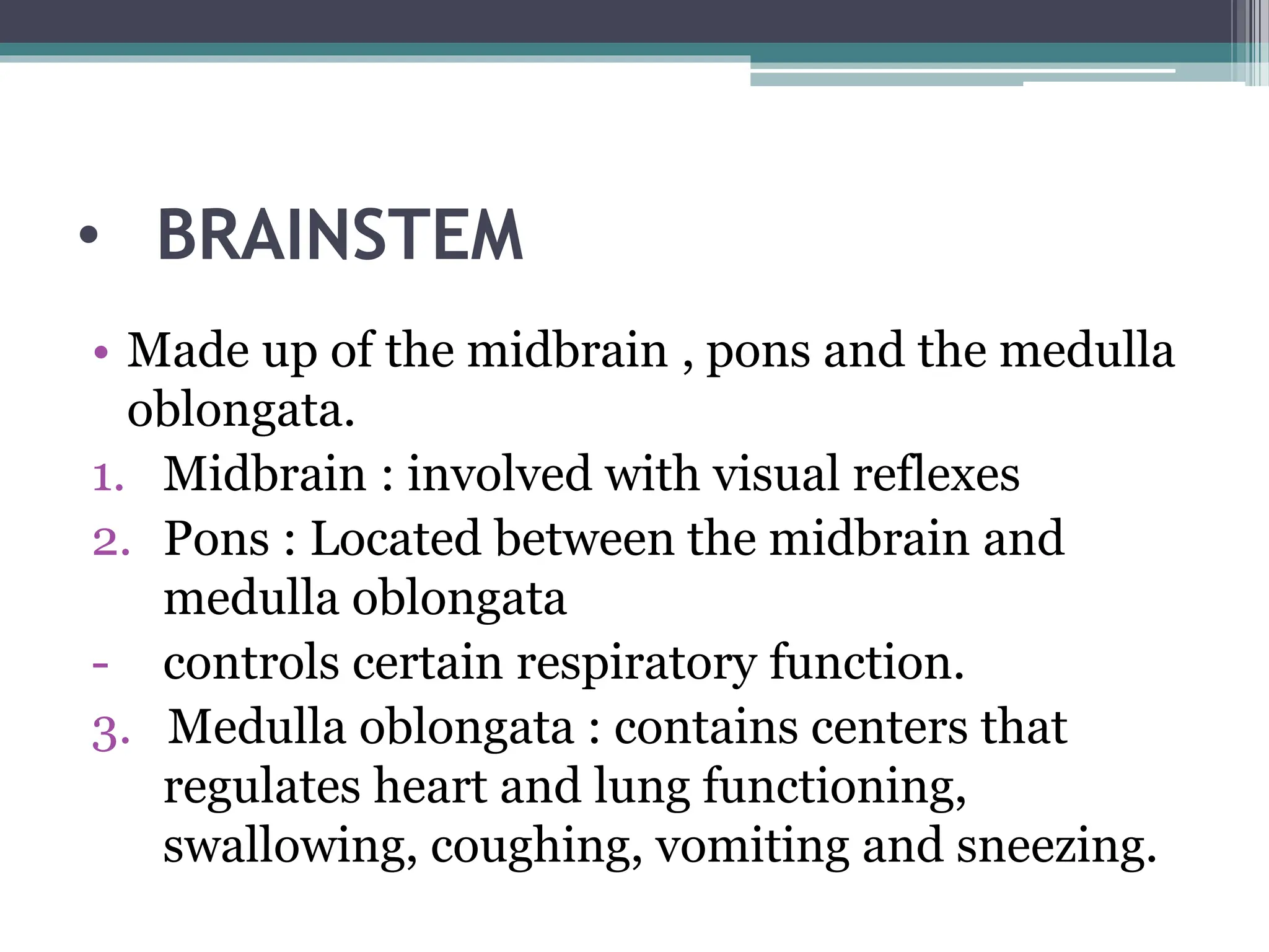 • BRAINSTEM
• Made up of the midbrain , pons and the medulla
oblongata.
1. Midbrain : involved with visual reflexes
2. Pons : Located between the midbrain and
medulla oblongata
- controls certain respiratory function.
3. Medulla oblongata : contains centers that
regulates heart and lung functioning,
swallowing, coughing, vomiting and sneezing.
 