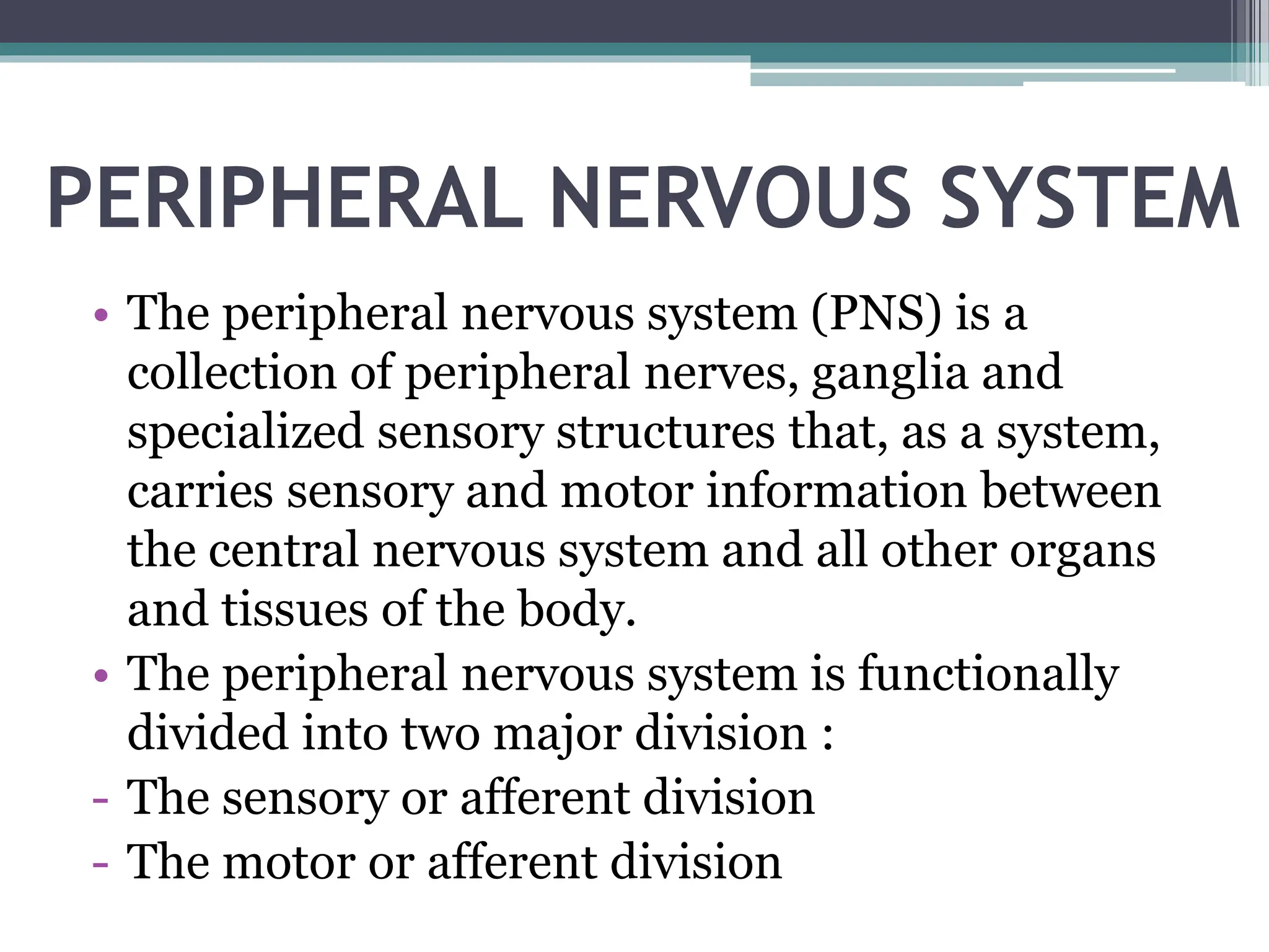 PERIPHERAL NERVOUS SYSTEM
• The peripheral nervous system (PNS) is a
collection of peripheral nerves, ganglia and
specialized sensory structures that, as a system,
carries sensory and motor information between
the central nervous system and all other organs
and tissues of the body.
• The peripheral nervous system is functionally
divided into two major division :
- The sensory or afferent division
- The motor or afferent division
 