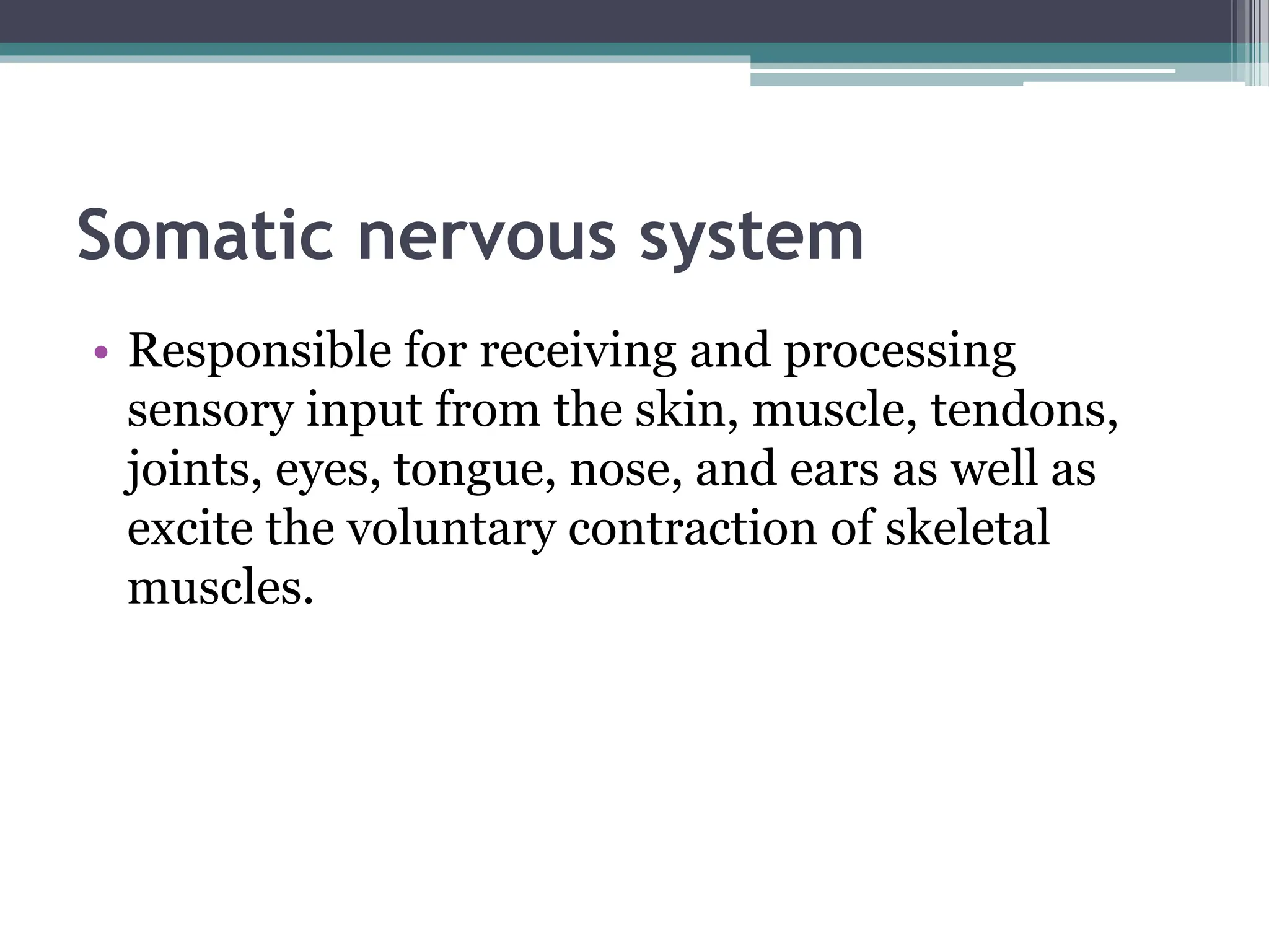 Somatic nervous system
• Responsible for receiving and processing
sensory input from the skin, muscle, tendons,
joints, eyes, tongue, nose, and ears as well as
excite the voluntary contraction of skeletal
muscles.
 