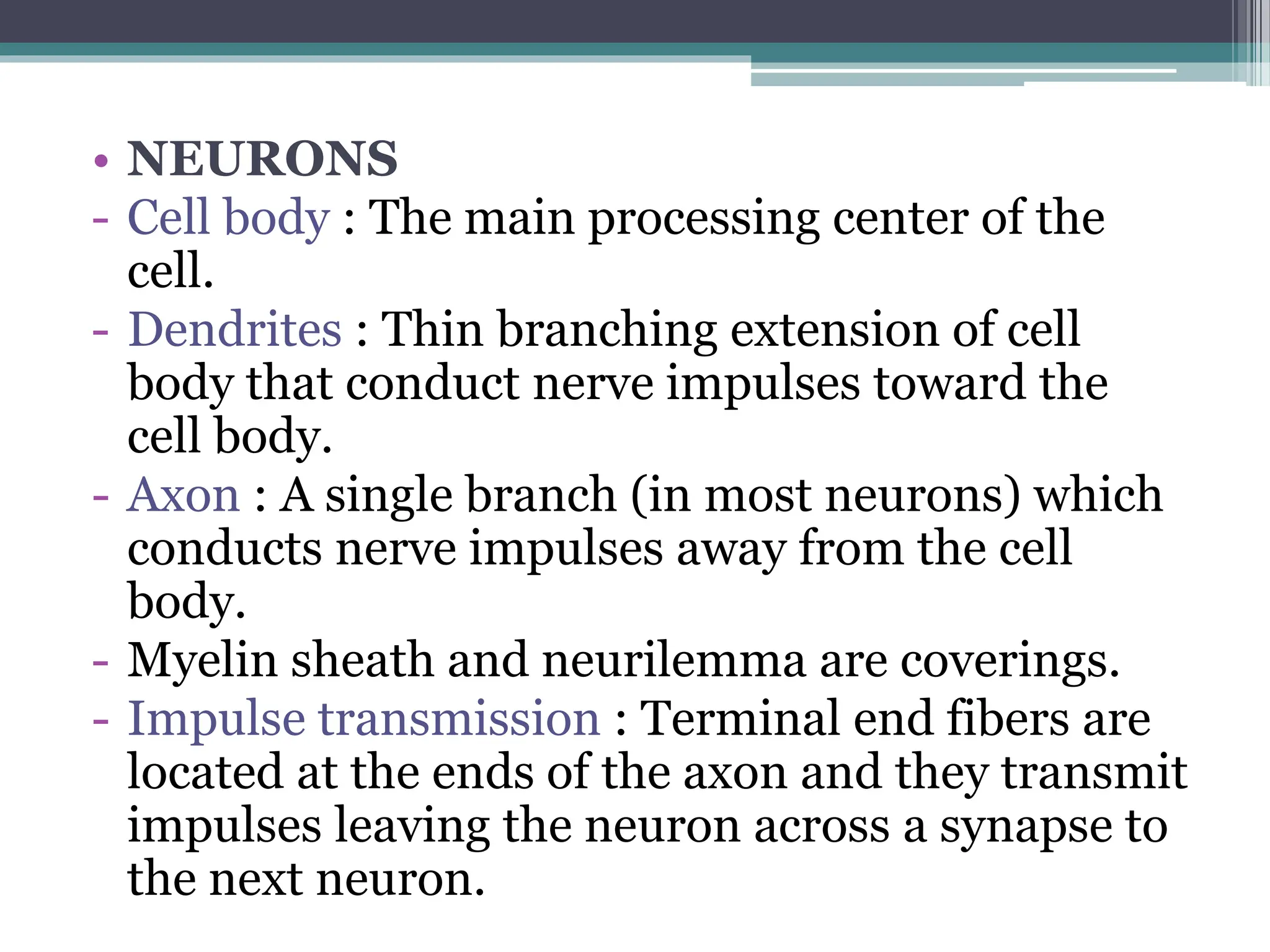 • NEURONS
- Cell body : The main processing center of the
cell.
- Dendrites : Thin branching extension of cell
body that conduct nerve impulses toward the
cell body.
- Axon : A single branch (in most neurons) which
conducts nerve impulses away from the cell
body.
- Myelin sheath and neurilemma are coverings.
- Impulse transmission : Terminal end fibers are
located at the ends of the axon and they transmit
impulses leaving the neuron across a synapse to
the next neuron.
 