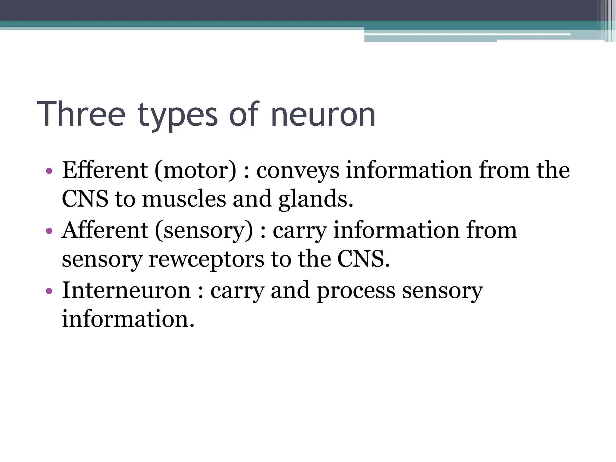 Three types of neuron
• Efferent (motor) : conveys information from the
CNS to muscles and glands.
• Afferent (sensory) : carry information from
sensory rewceptors to the CNS.
• Interneuron : carry and process sensory
information.
 