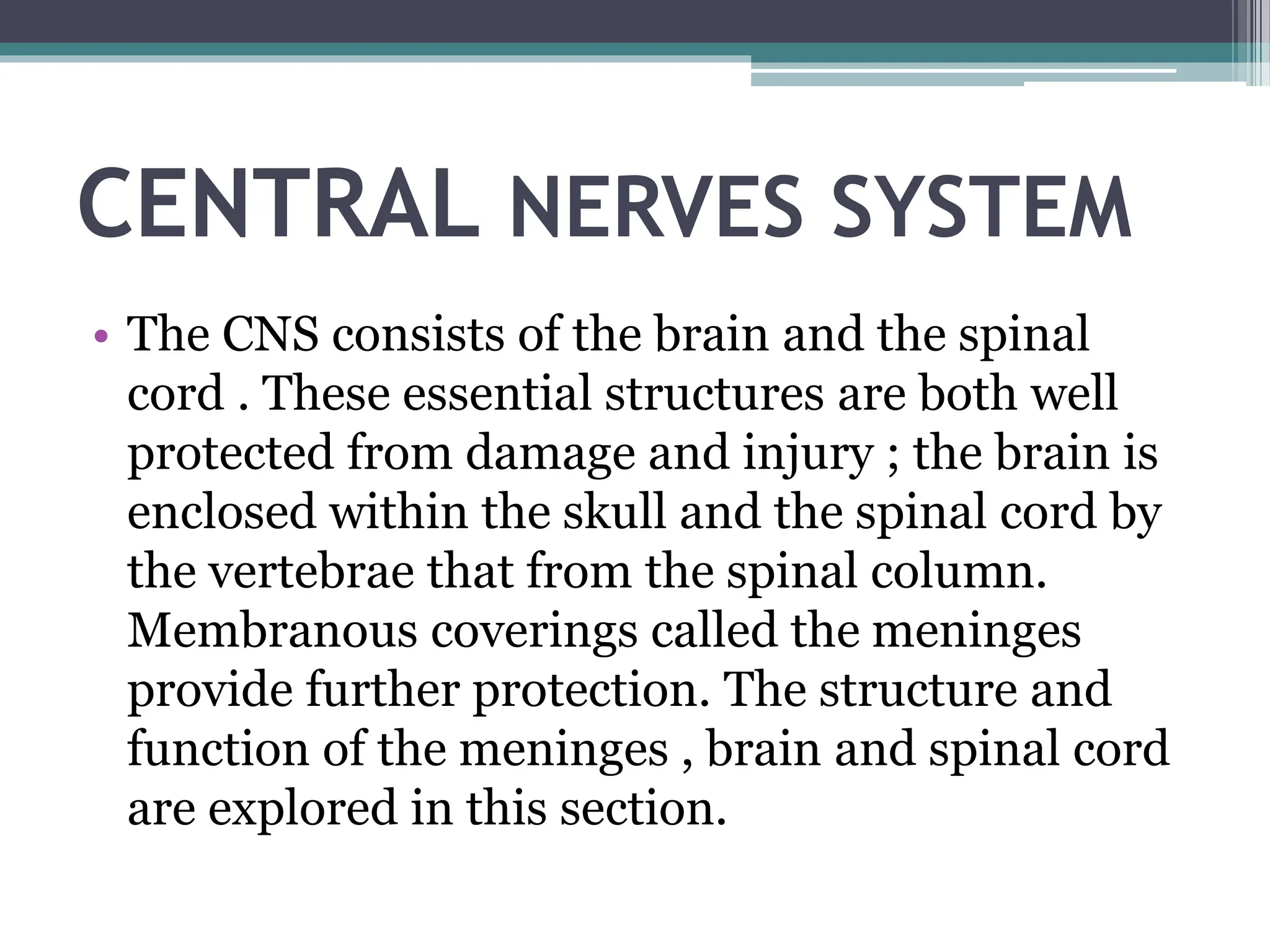 CENTRAL NERVES SYSTEM
• The CNS consists of the brain and the spinal
cord . These essential structures are both well
protected from damage and injury ; the brain is
enclosed within the skull and the spinal cord by
the vertebrae that from the spinal column.
Membranous coverings called the meninges
provide further protection. The structure and
function of the meninges , brain and spinal cord
are explored in this section.
 