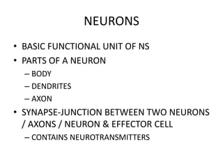 NEURONS
• BASIC FUNCTIONAL UNIT OF NS
• PARTS OF A NEURON
– BODY
– DENDRITES
– AXON
• SYNAPSE-JUNCTION BETWEEN TWO NEURONS
/ AXONS / NEURON & EFFECTOR CELL
– CONTAINS NEUROTRANSMITTERS
 