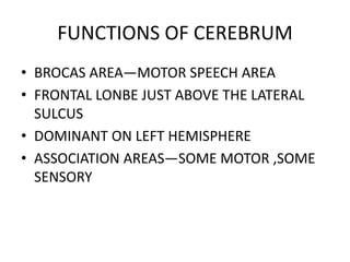 • BROCAS AREA—MOTOR SPEECH AREA
• FRONTAL LONBE JUST ABOVE THE LATERAL
SULCUS
• DOMINANT ON LEFT HEMISPHERE
• ASSOCIATION AREAS—SOME MOTOR ,SOME
SENSORY
FUNCTIONS OF CEREBRUM
 