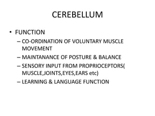 CEREBELLUM
• FUNCTION
– CO-ORDINATION OF VOLUNTARY MUSCLE
MOVEMENT
– MAINTANANCE OF POSTURE & BALANCE
– SENSORY INPUT FROM PROPRIOCEPTORS(
MUSCLE,JOINTS,EYES,EARS etc)
– LEARNING & LANGUAGE FUNCTION
 