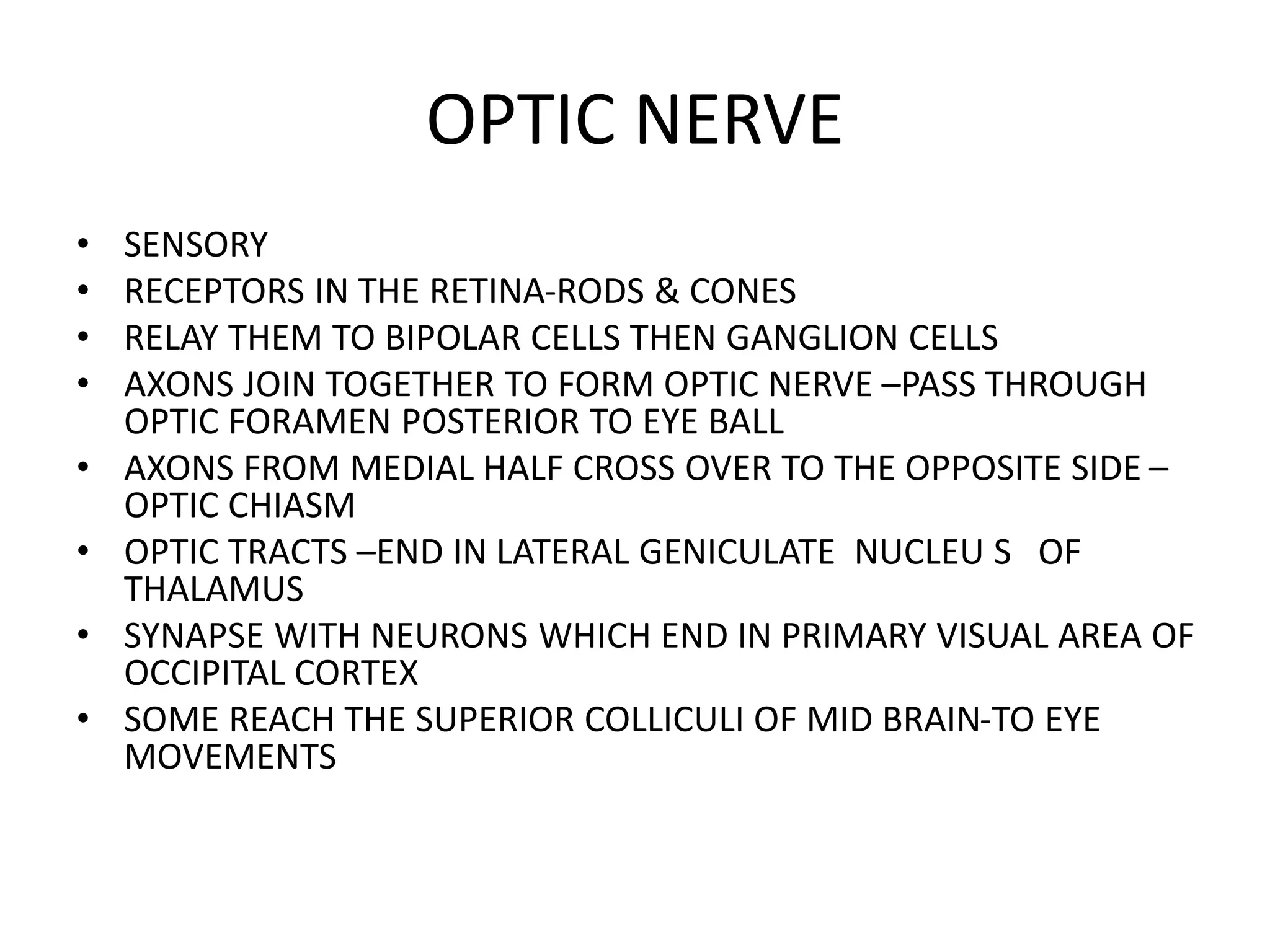 NERVOUS SYSTEM class 3.pptx