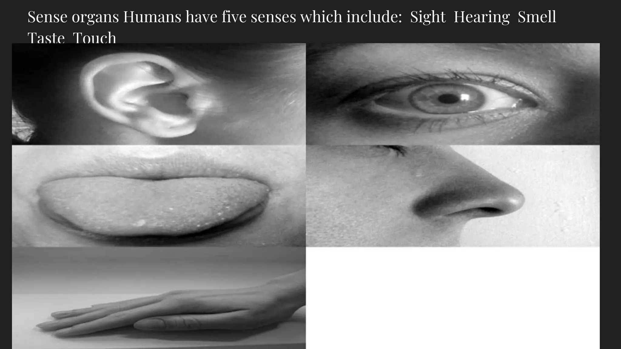 Sense organs Humans have five senses which include: Sight Hearing Smell
Taste Touch
 