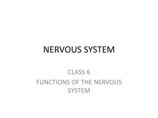 NERVOUS SYSTEM
CLASS 6
FUNCTIONS OF THE NERVOUS
SYSTEM
 