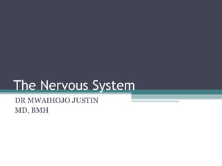 The Nervous System
DR MWAIHOJO JUSTIN
MD, BMH
 