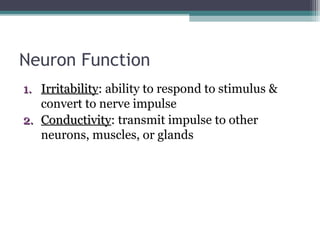 Neuron Function
1.1. IrritabilityIrritability: ability to respond to stimulus &
convert to nerve impulse
2.2. ConductivityConductivity: transmit impulse to other
neurons, muscles, or glands
 